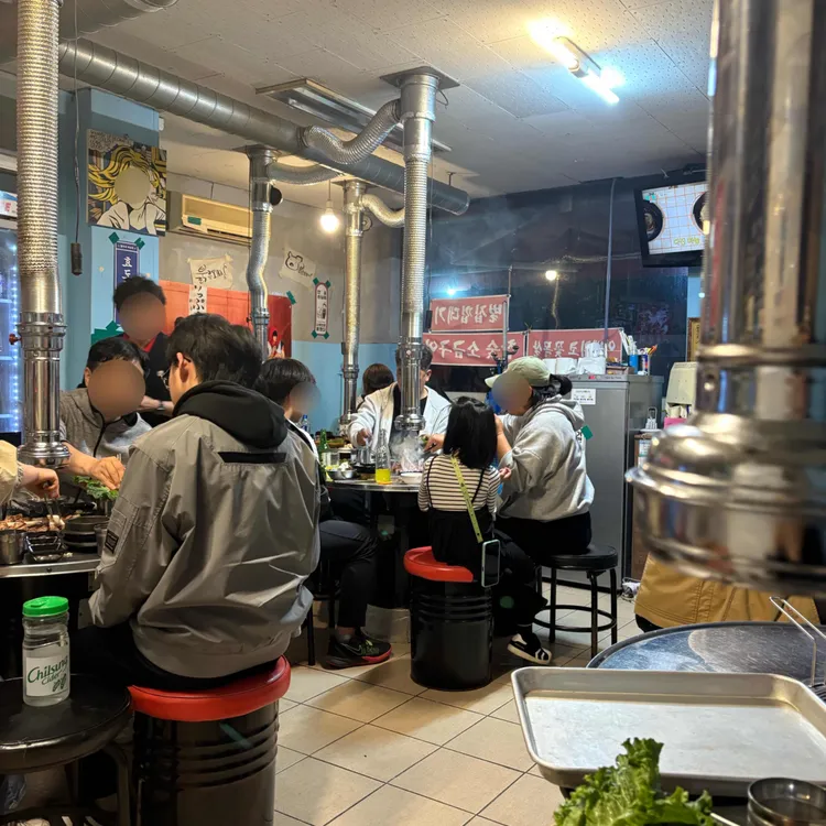 붉은돼지 사진