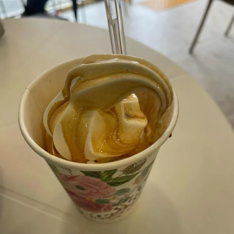 터치아프리카 사진