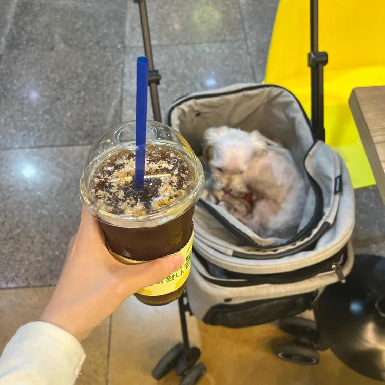 빽다방 사진