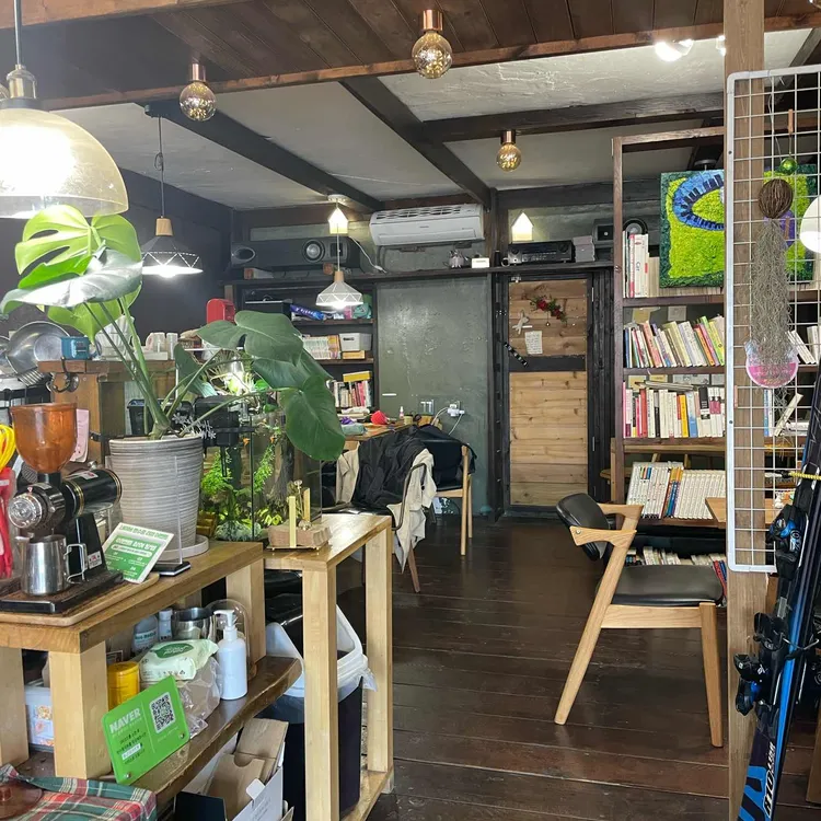 허니레빗 사진