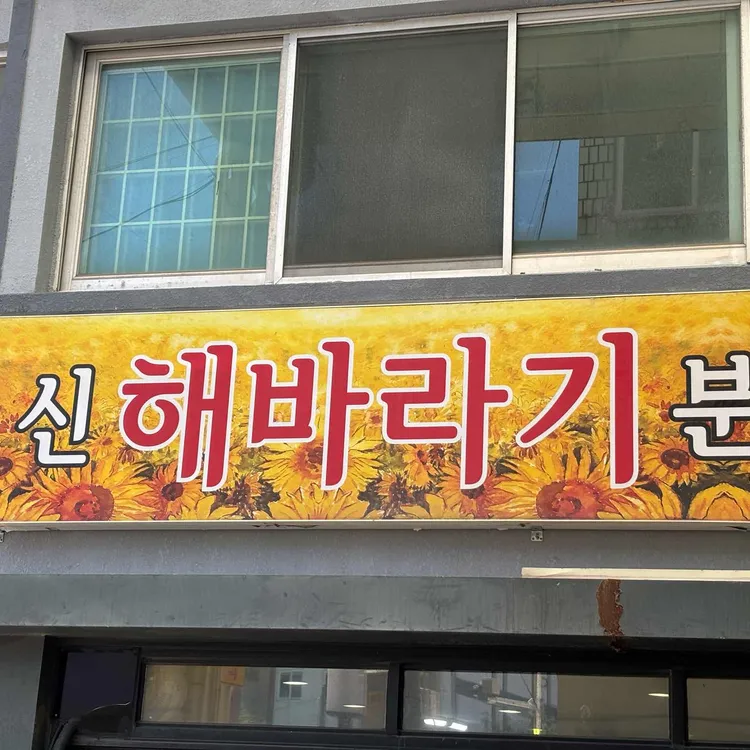 신해바라기 사진