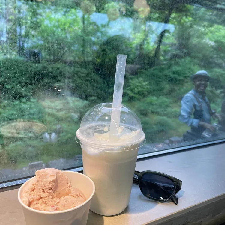 진해보타닉뮤지엄 사진