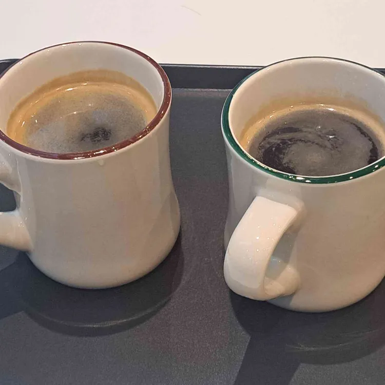 댄싱컵 사진