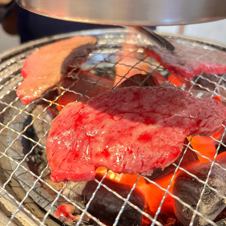 찰나 사진