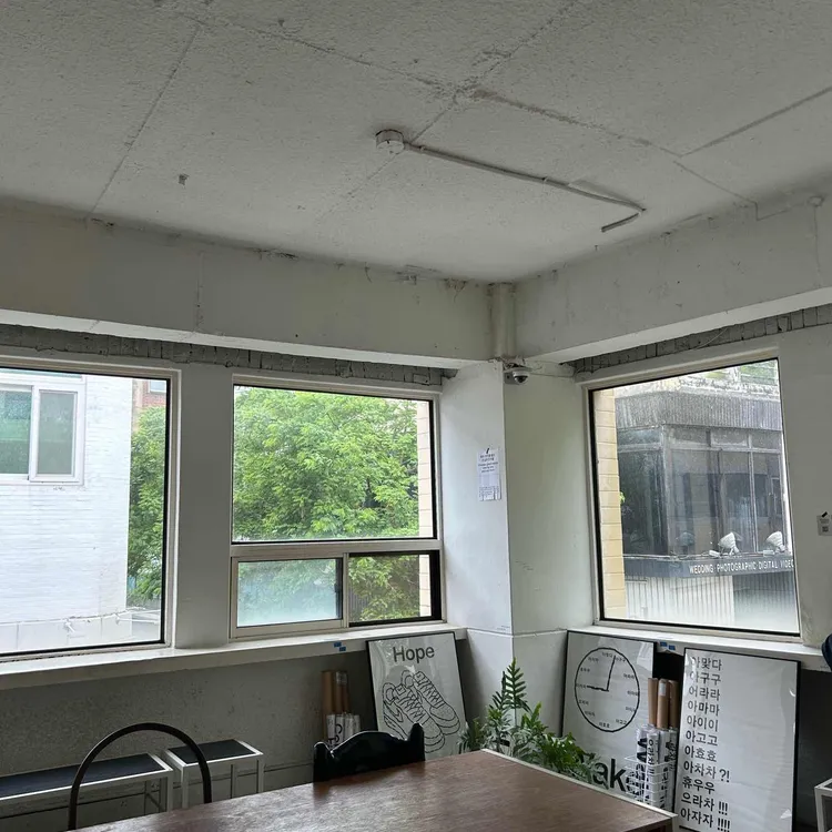 평화와 평화 사진