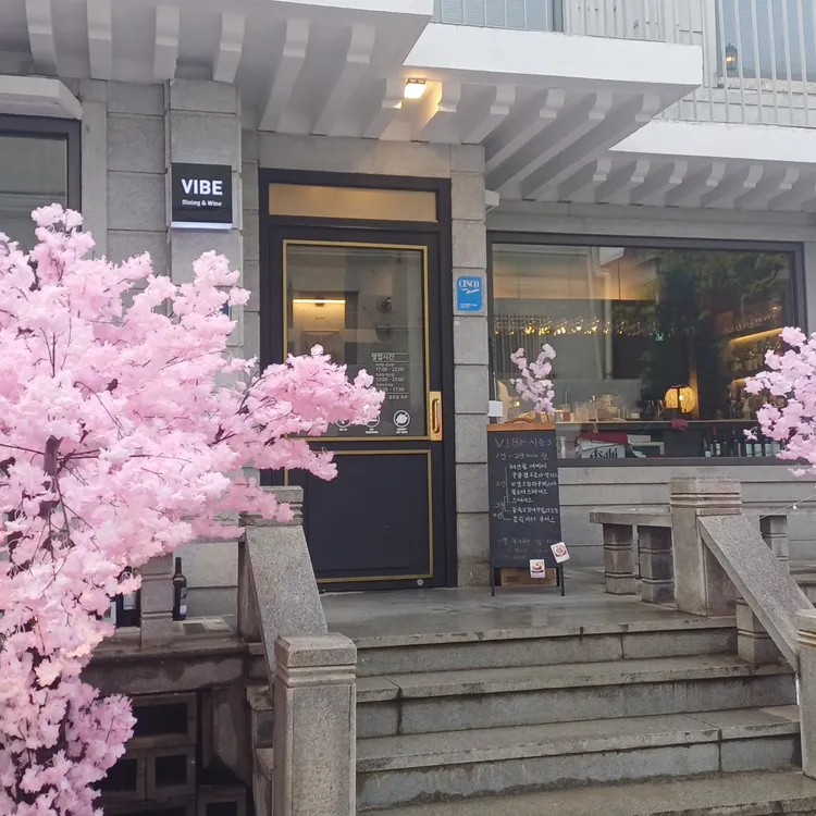 바이브 사진