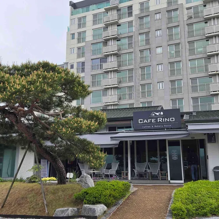 카페 리노 사진