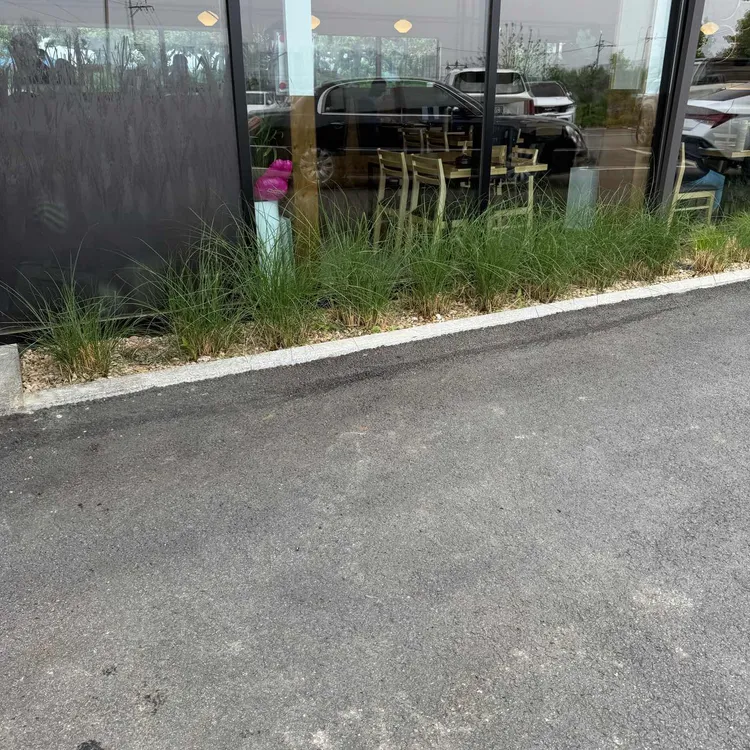 꽁당보리밥 사진