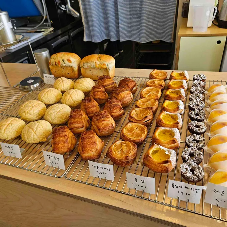 콩키 사진