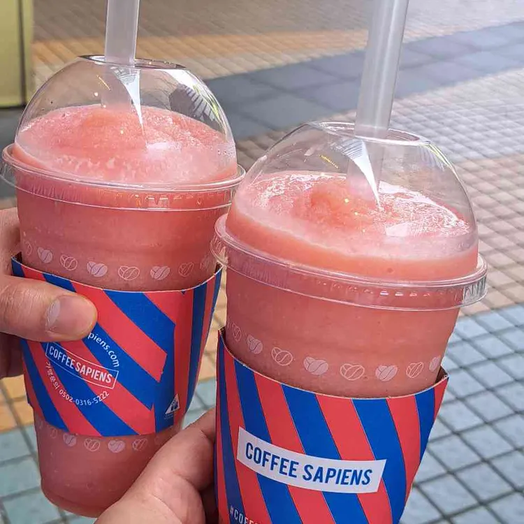 커피사피엔스 사진