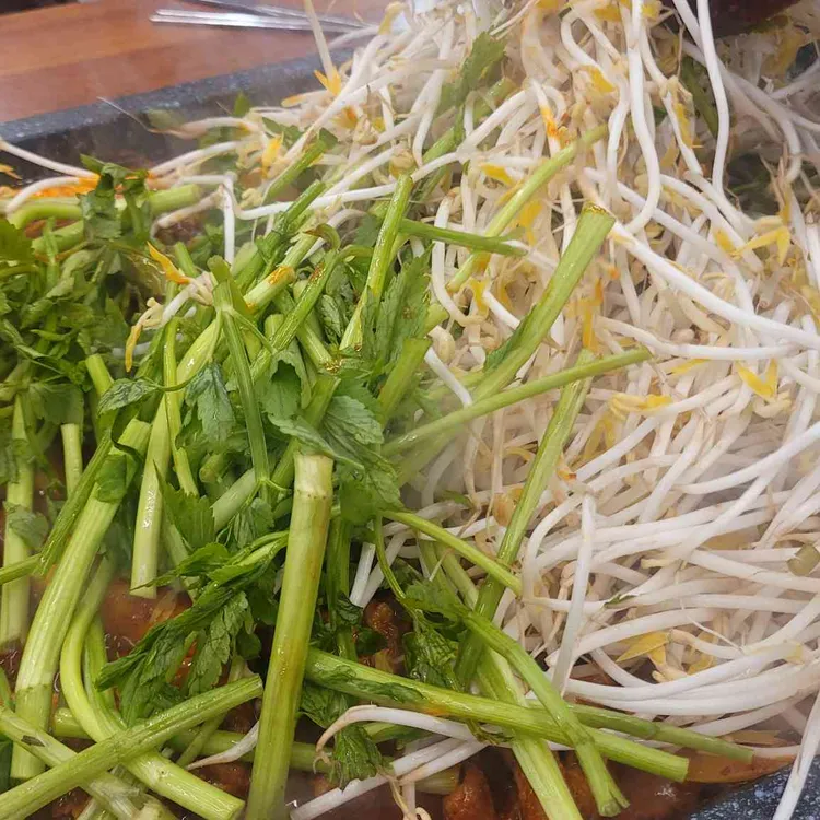 탐나오리 사진