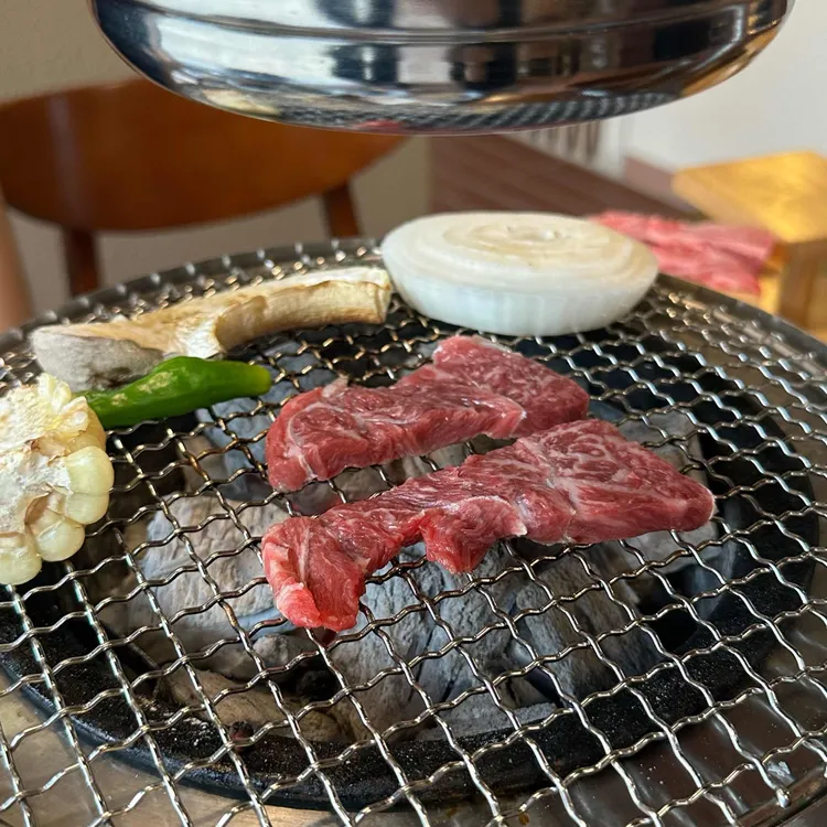 하루 사진