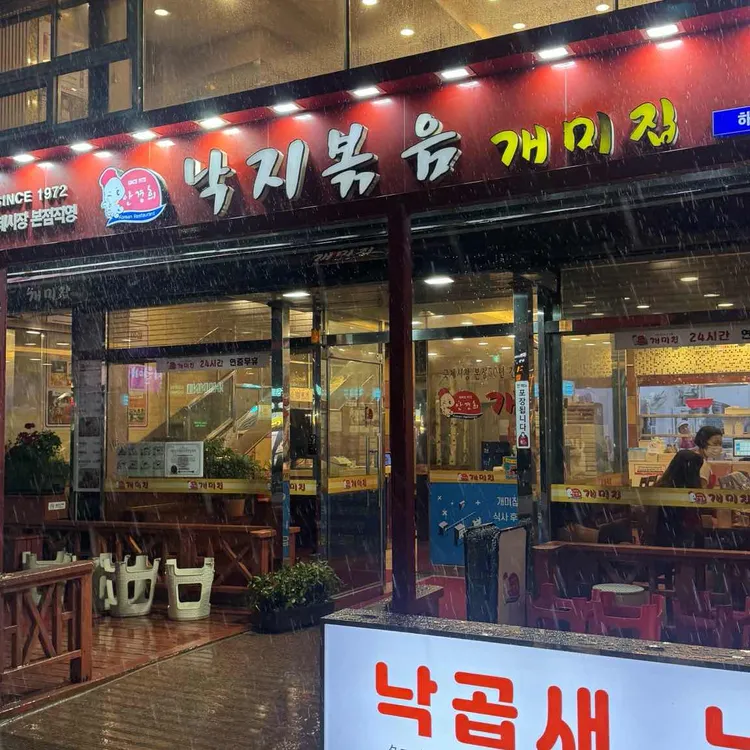 개미집 사진