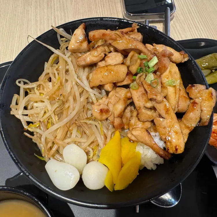 홍대개미 사진