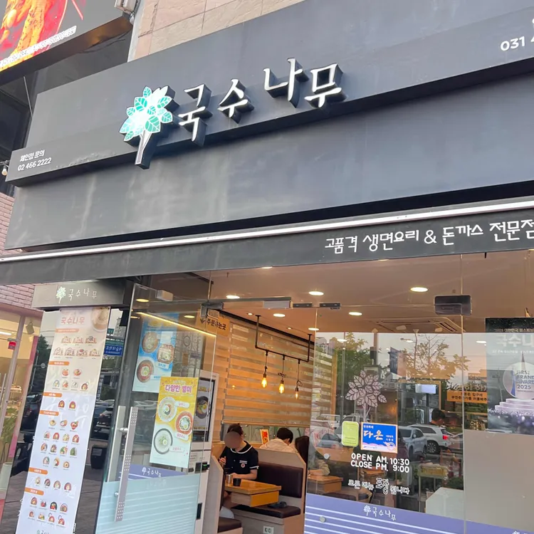 국수나무 사진
