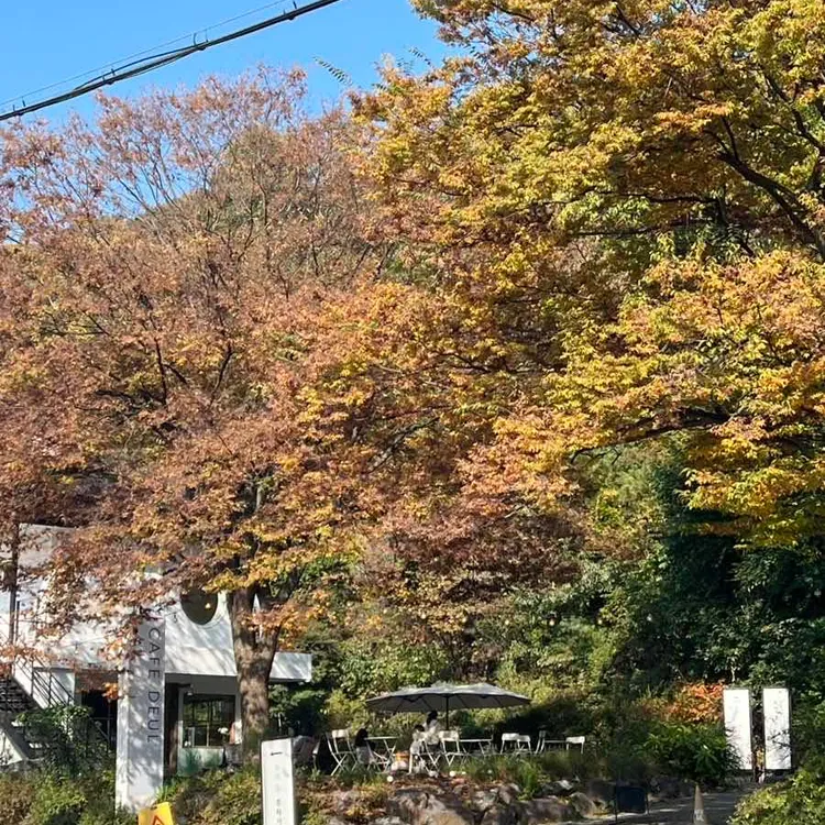카페 들 사진