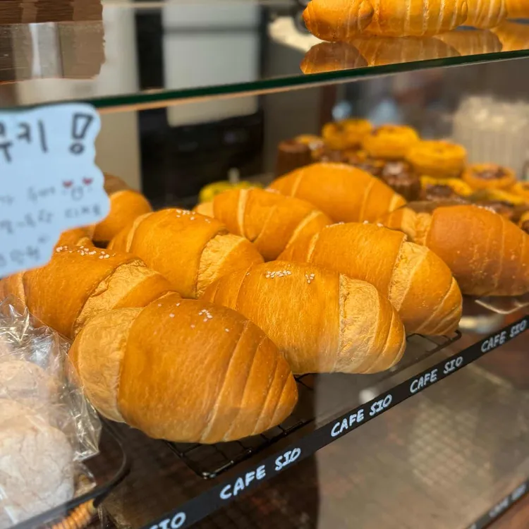 시오 사진