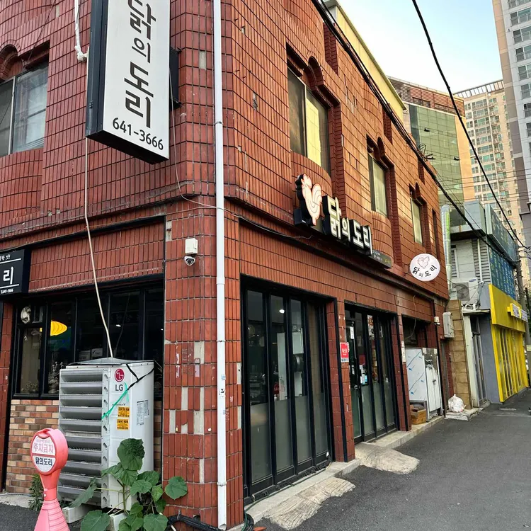 닭의도리 사진