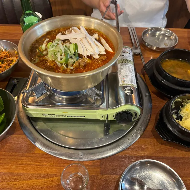 찬미돼지 사진