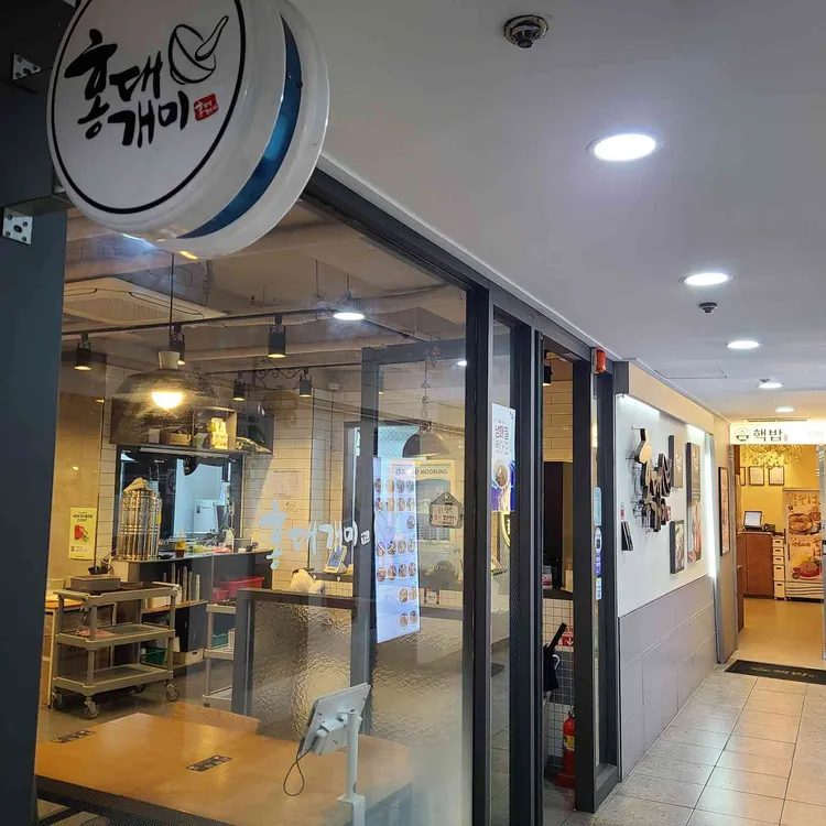 홍대개미 사진