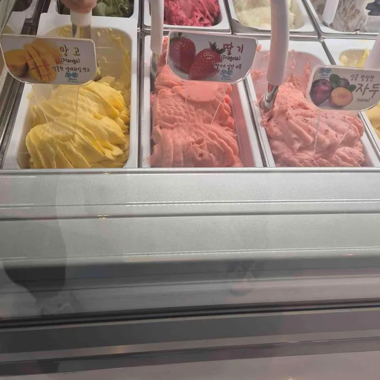 펠리치따 사진