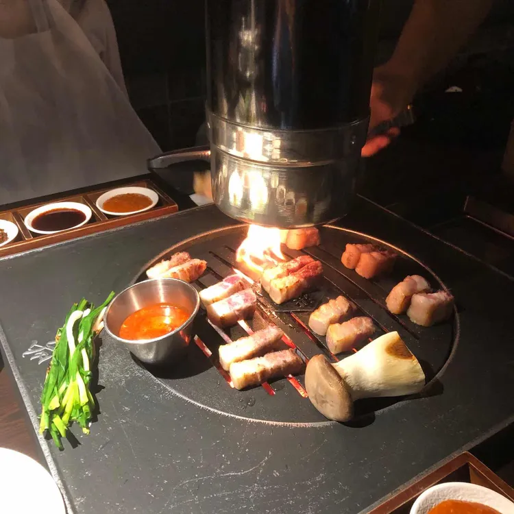 홍고박 사진