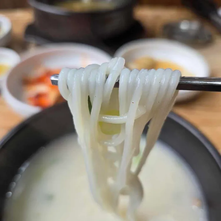 권고집 우아지 사진