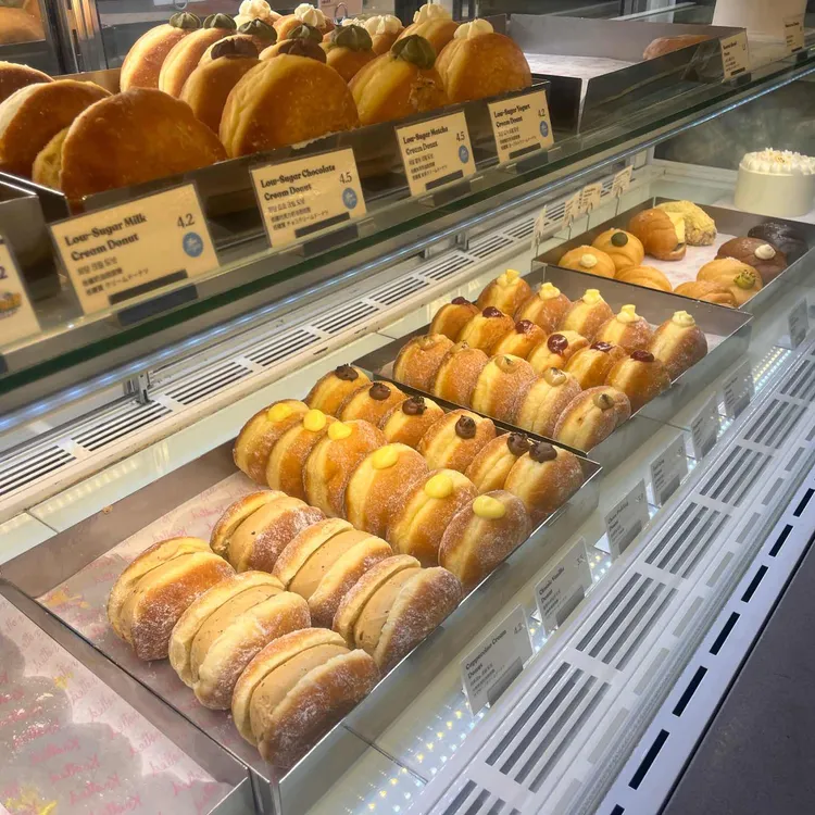 노티드 사진