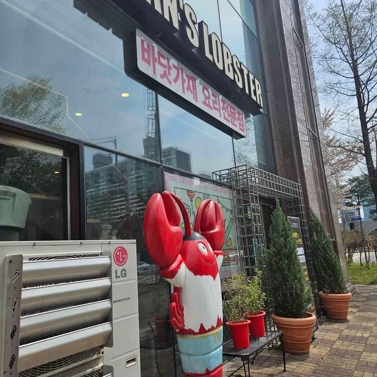 한스랍스타 사진