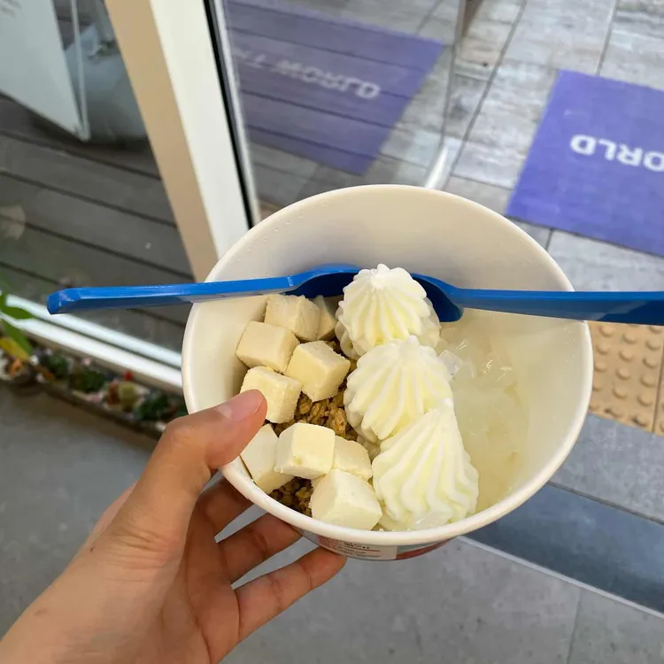 요거트월드 사진