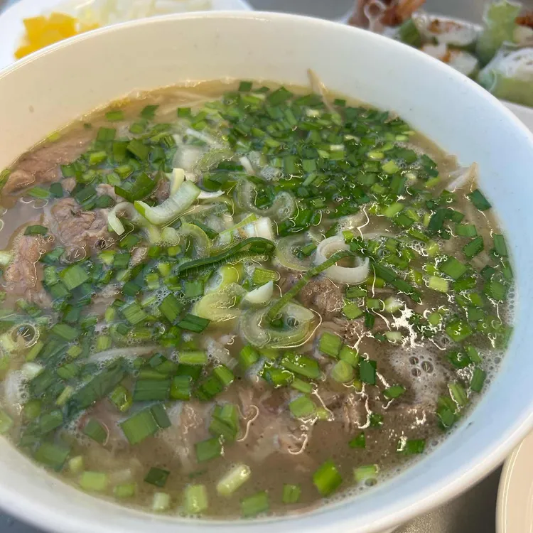 포레스트 사진