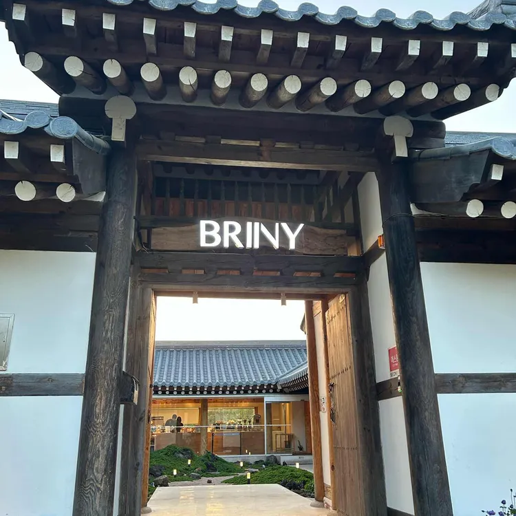 브리니 팔공 사진