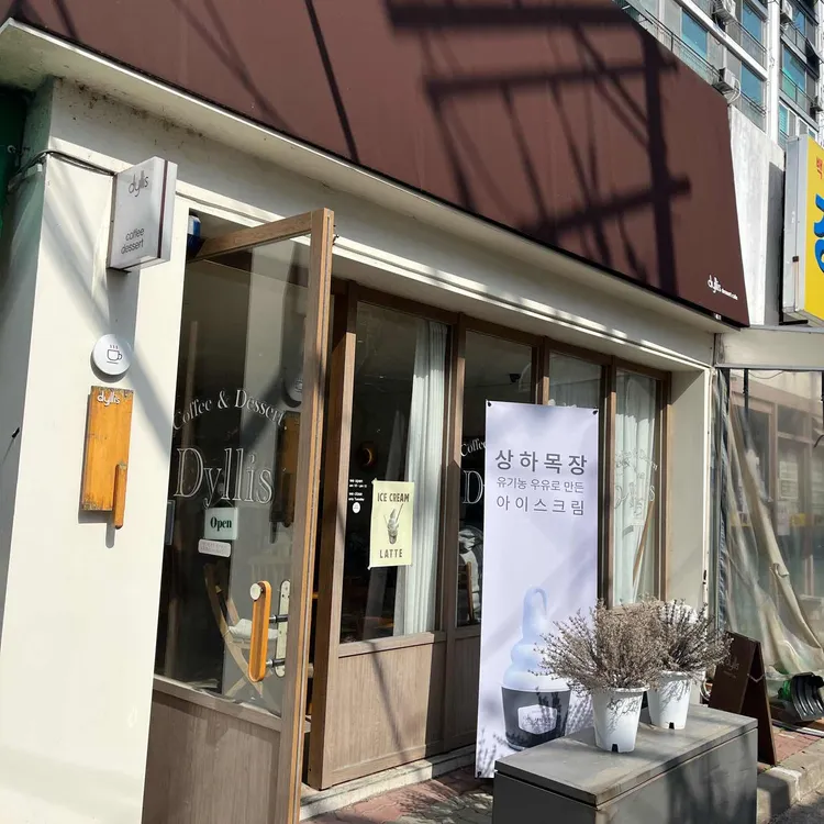 딜리스 사진