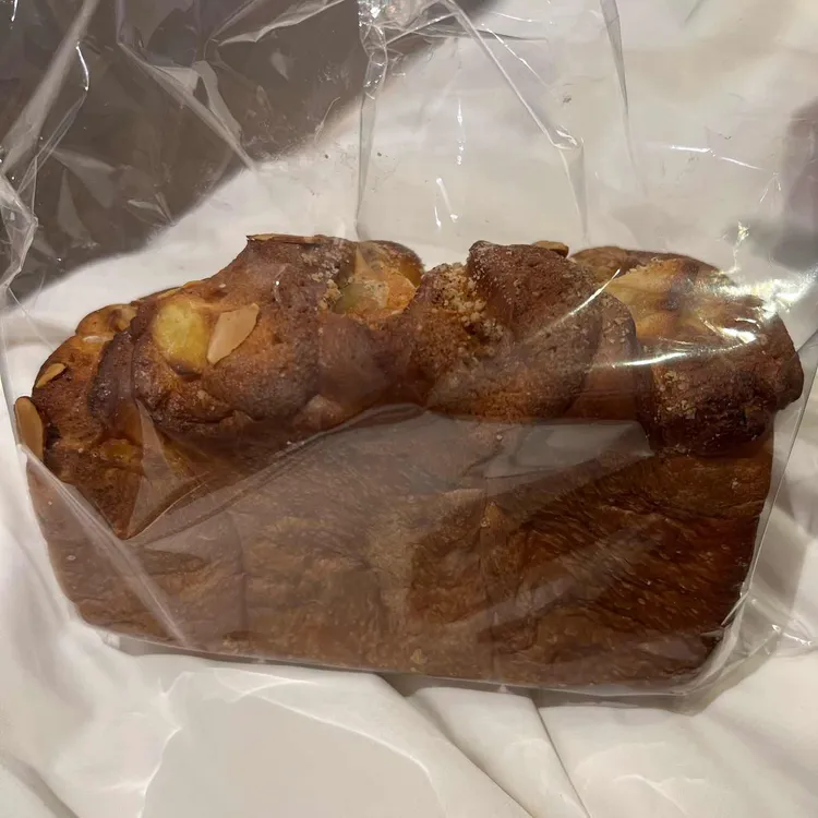 팡코 사진