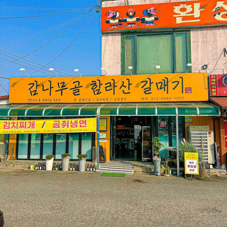 감나무골 함라산 갈매기 사진