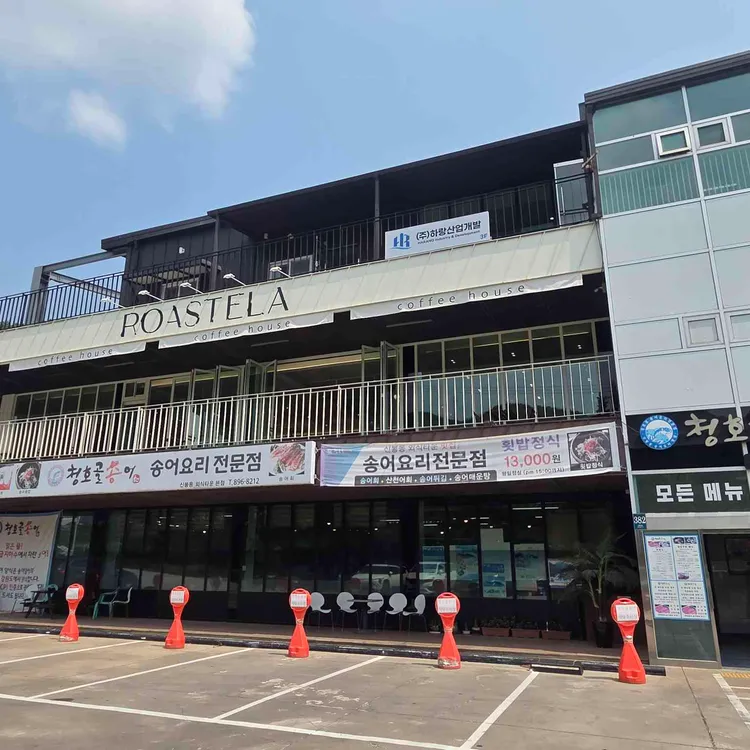 청호골송어 사진