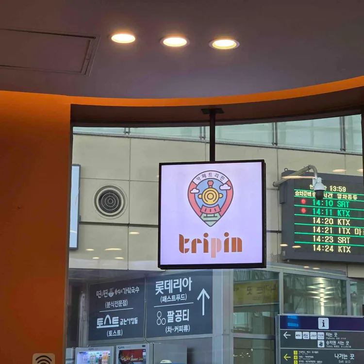 트리핀 사진