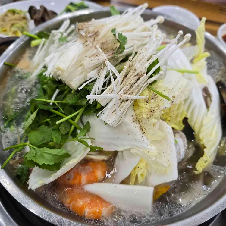 느릅나무 사진