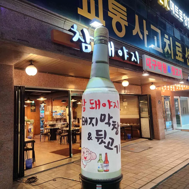 참돼야지 사진