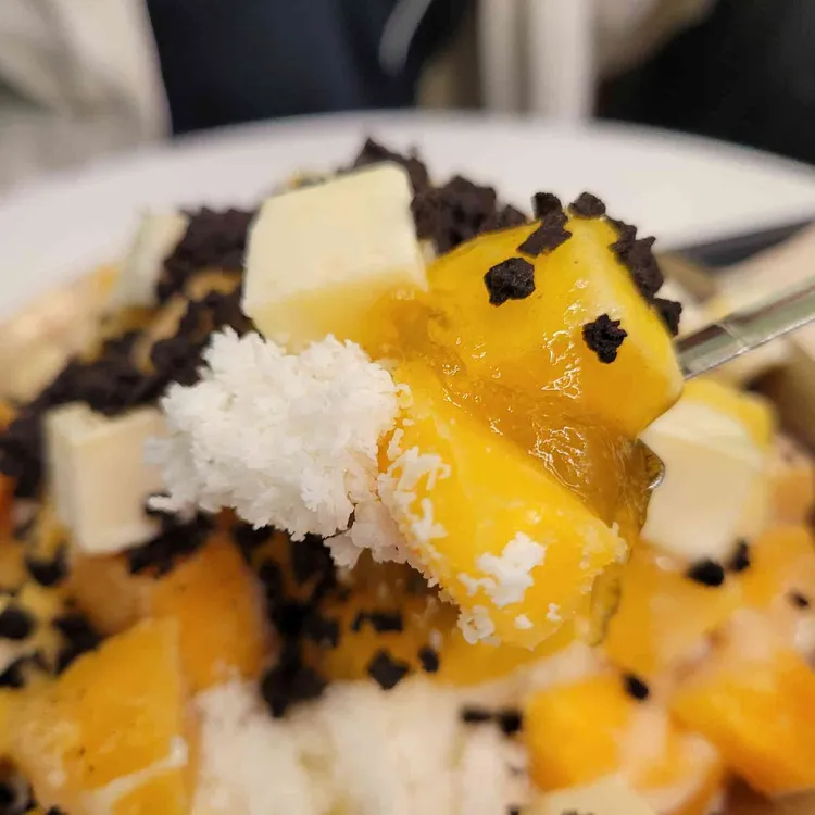 빙달 사진