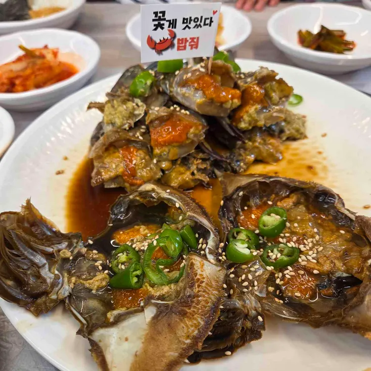 밥줘 사진