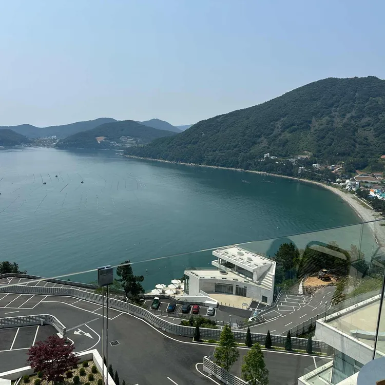 모이핀 사진