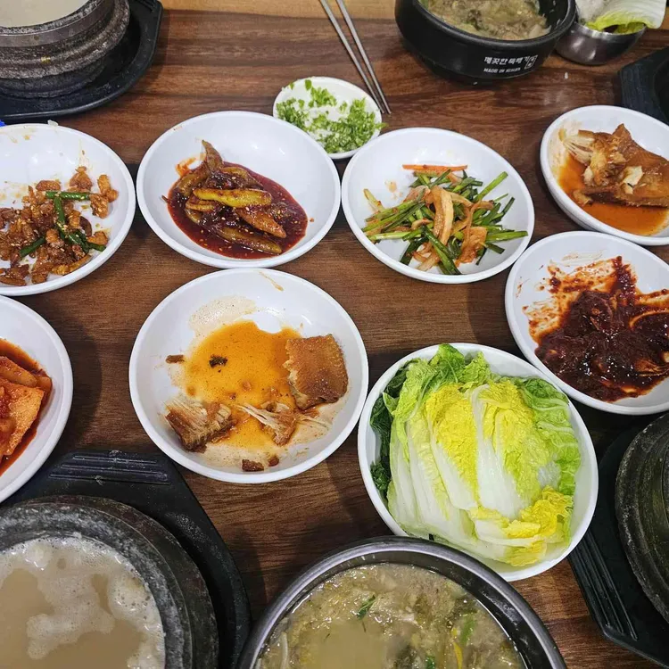 고목나무집 사진