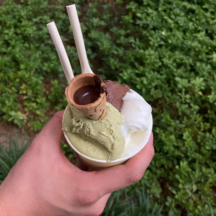 젤라띠젤라띠 사진