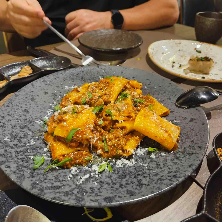 엘픽 사진