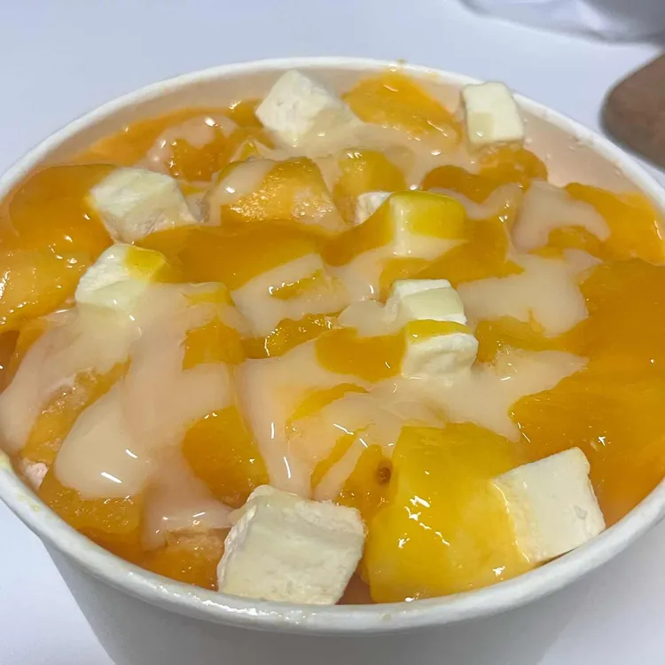 스노우벨 사진