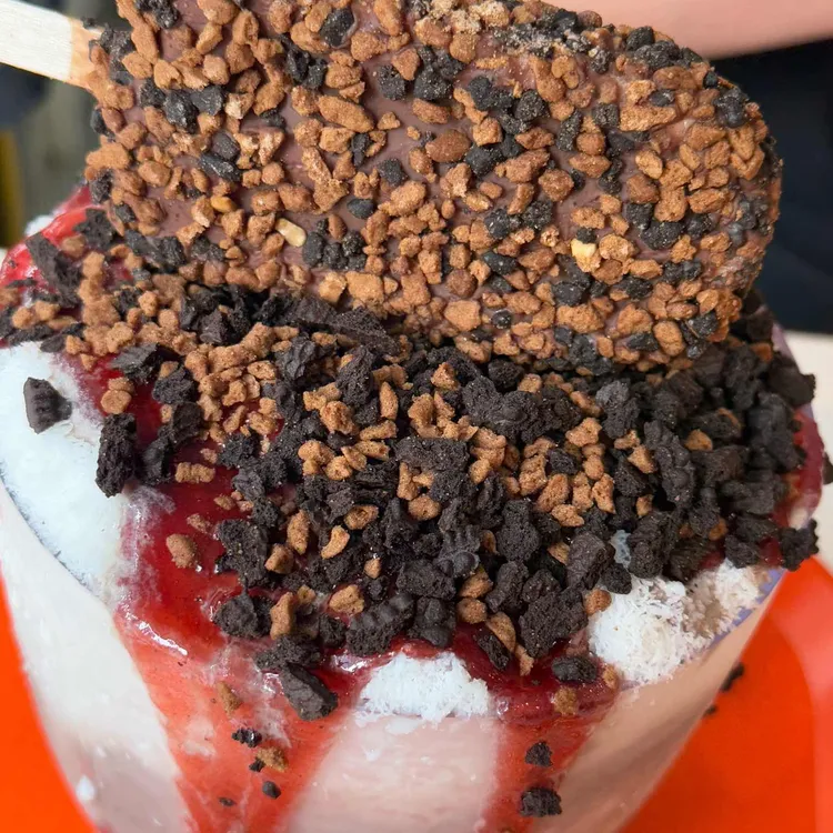 대설 사진