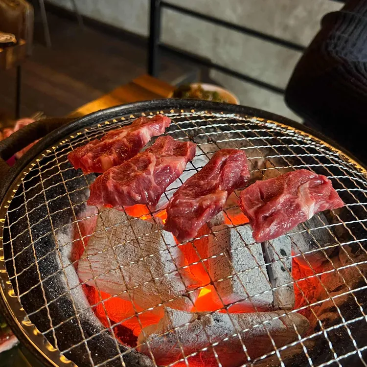 몽상가 사진