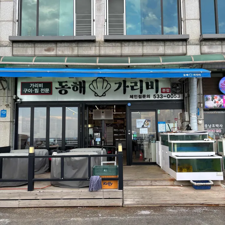 동해가리비 사진