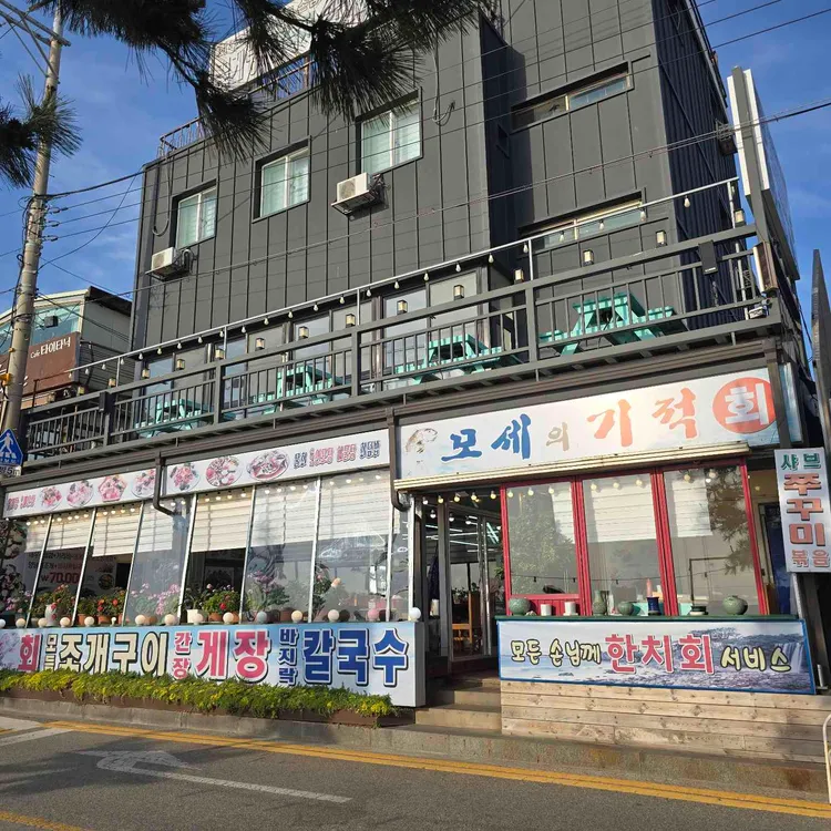 모세의기적 사진
